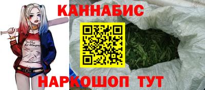 PSILOCYBIN Кулебаки