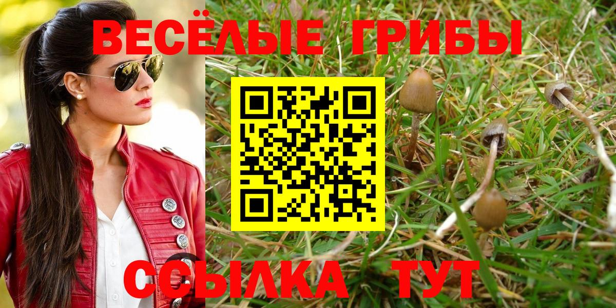 Югорск  Псилоцибиновые грибы Cubensis  Галлюциногенные грибы Magic Shrooms  Вход с VPN 